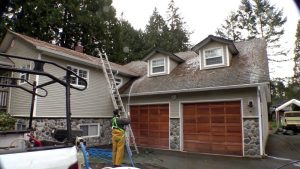 I Did Not Know That Top Langley Roof Cleaning of the decade