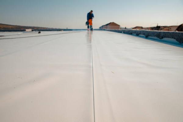 Understanding Waterproofing Warranties and Guarantees