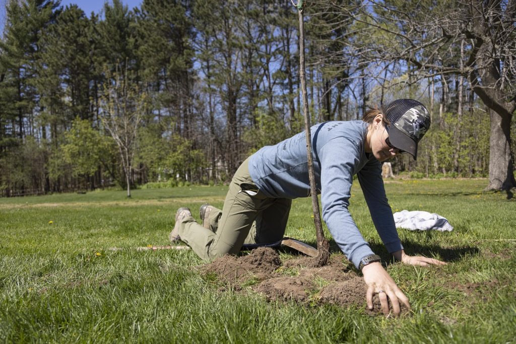 Tree Care Excellence by Panorama Professionals